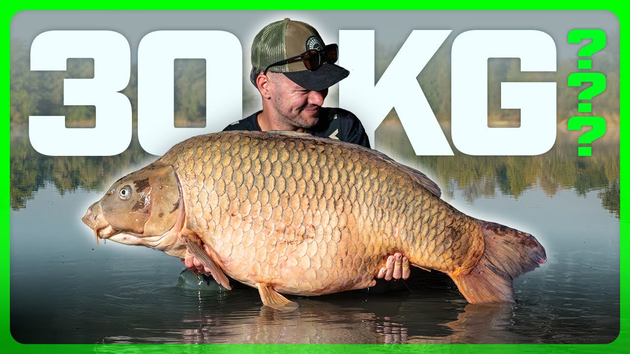 30KG?! 😳 LA BIG DEL LAGO! 🐋👑  MEGA SESSION in un lago MOLTO DIFFICILE! 🔥