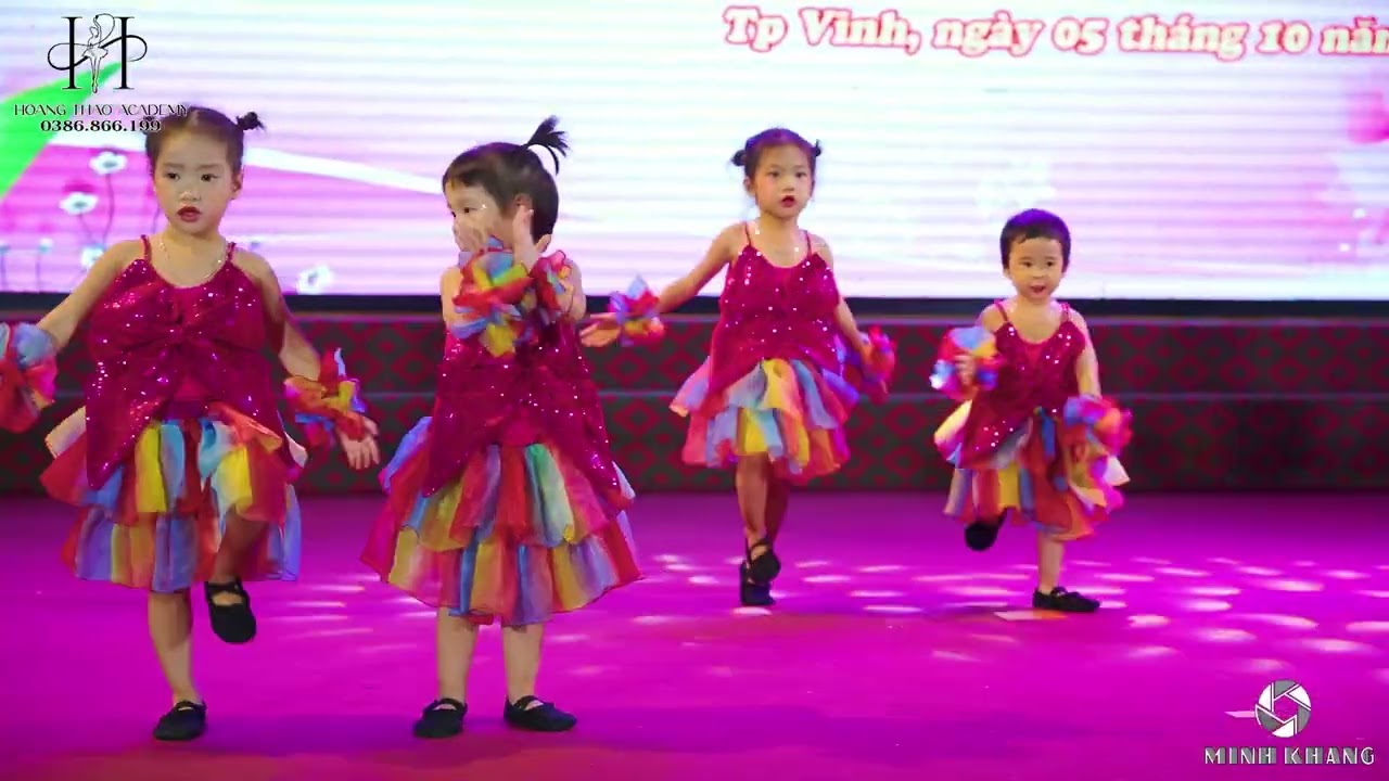 Mèo con lười học | Hoàng Thảo Academy