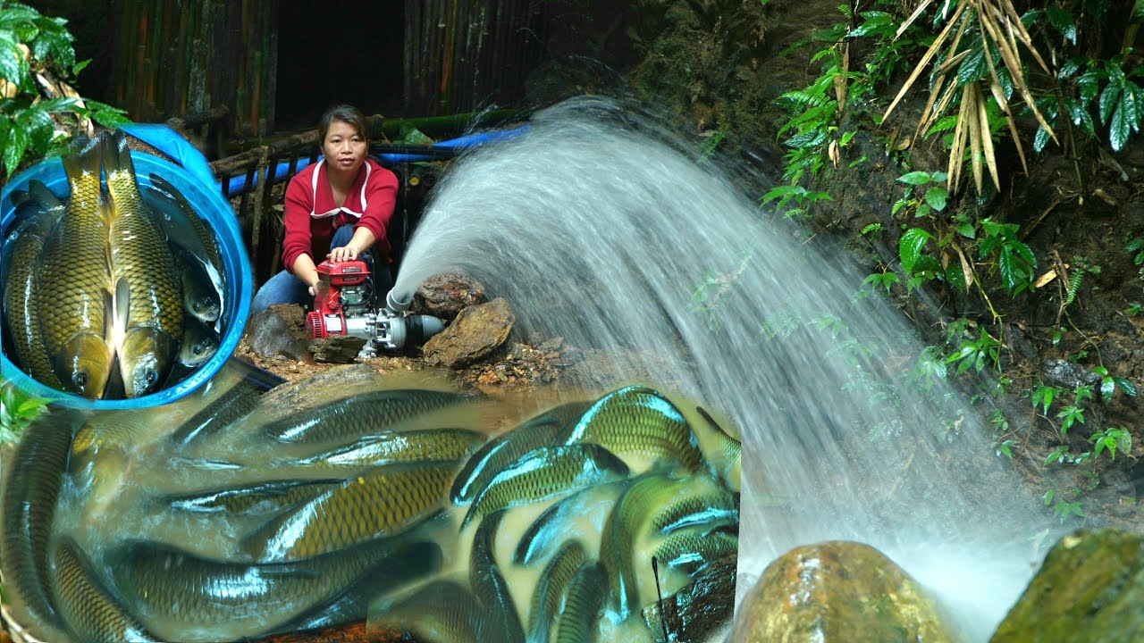 Girl Uses High-Powered Pump to Drain Puddle – Catches Huge School of Fish