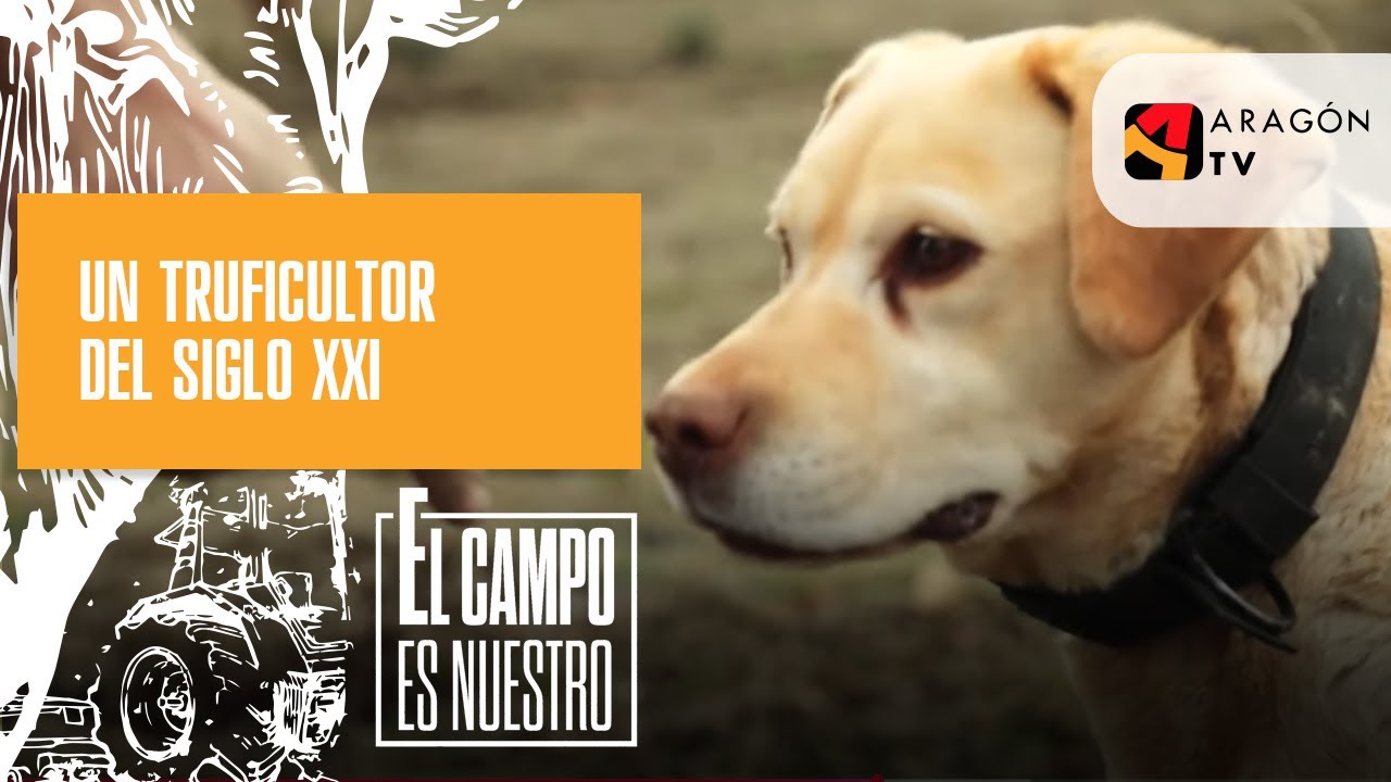 Un truficultor del siglo XXI  | Raúl Deoiz