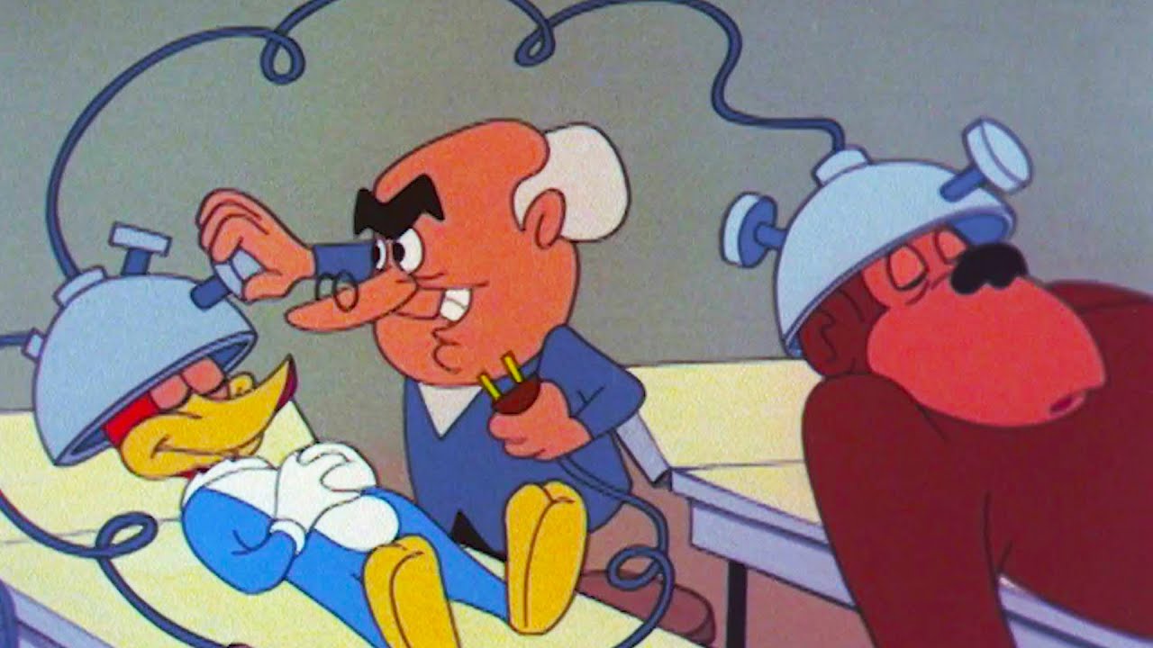 Woody is Captured by Evil Scientist  | Woody Woodpecker
