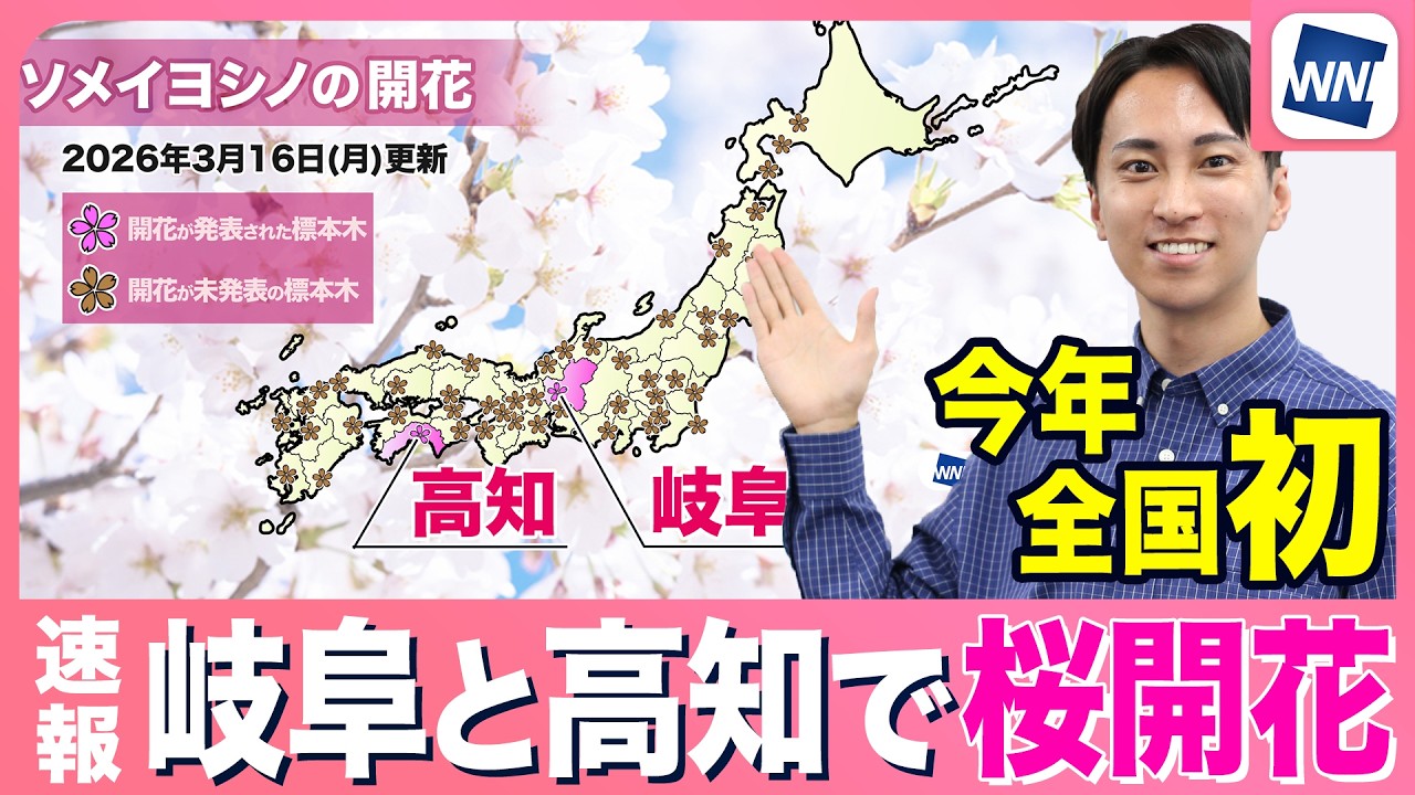 【速報】岐阜と高知で桜開花 今年全国で初めてソメイヨシノの開花発表