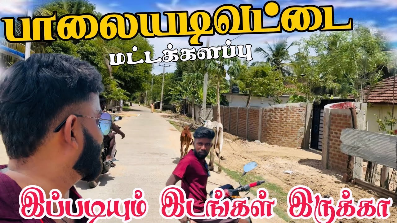 மட்டக்களப்பு பாலையடிவட்டை | Pk vlogs Tamil | Batticaloa | Palaiyadivaddai #batticaloa #pkvlogstamil 