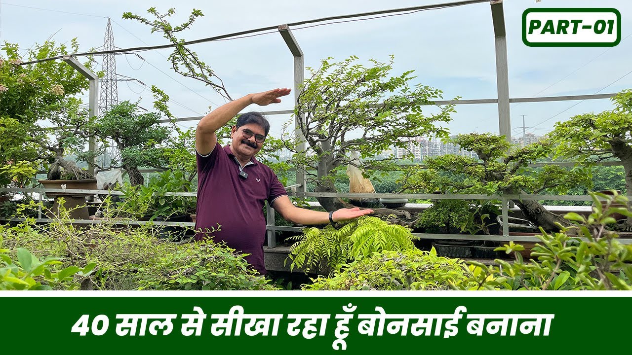 दिल्ली के जयपाल सिंह जी 40 साल से सीखा रहे है बोन्साई बनाना 😱 40 Year Old Bonsai Collection 🪴 Part-1