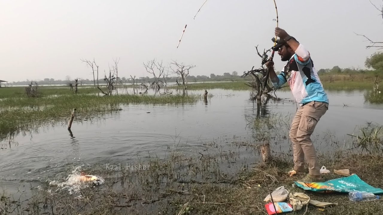 New Best Hook Fishing Video|| Fishing Cutting And Cooking