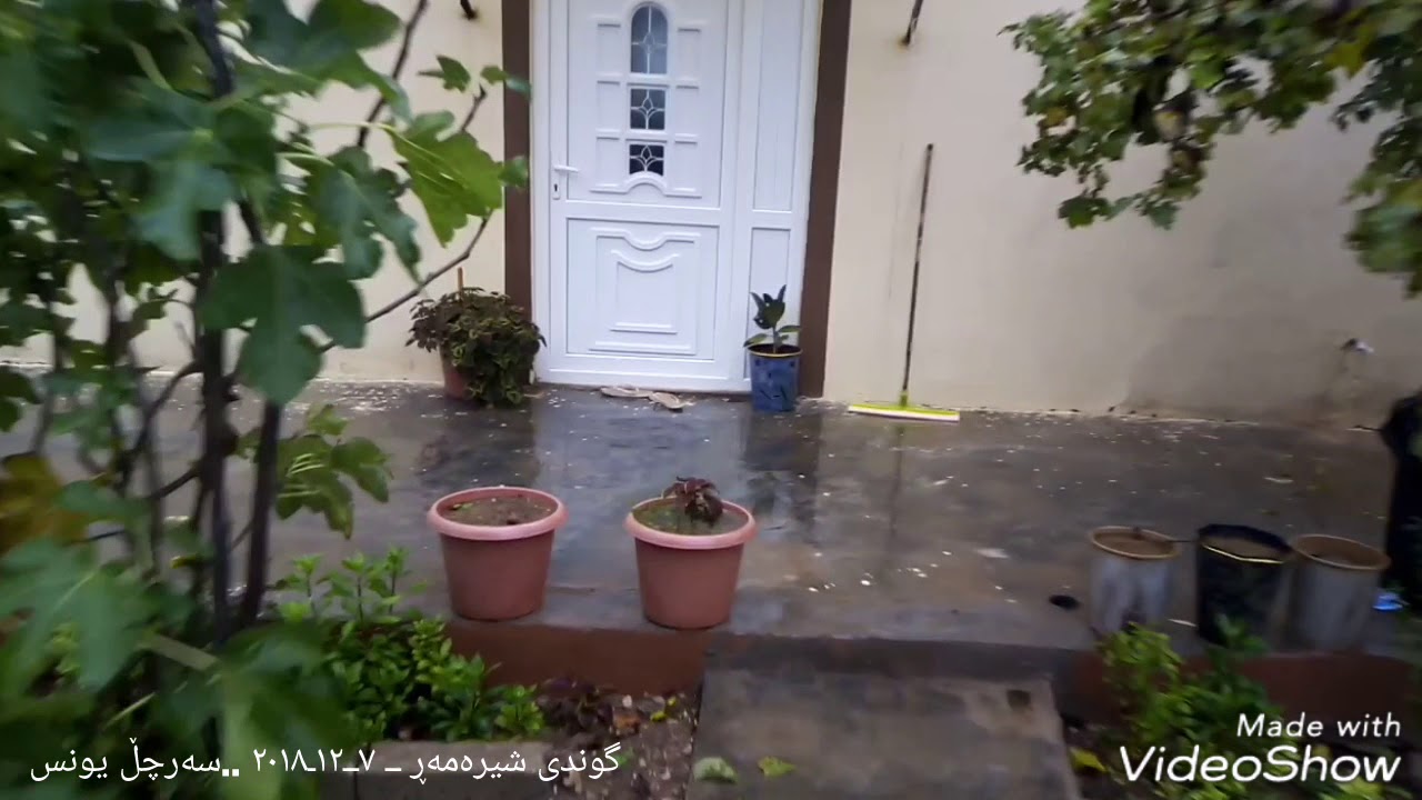 محمدی ماملێ ئەی بارانەو بارانە