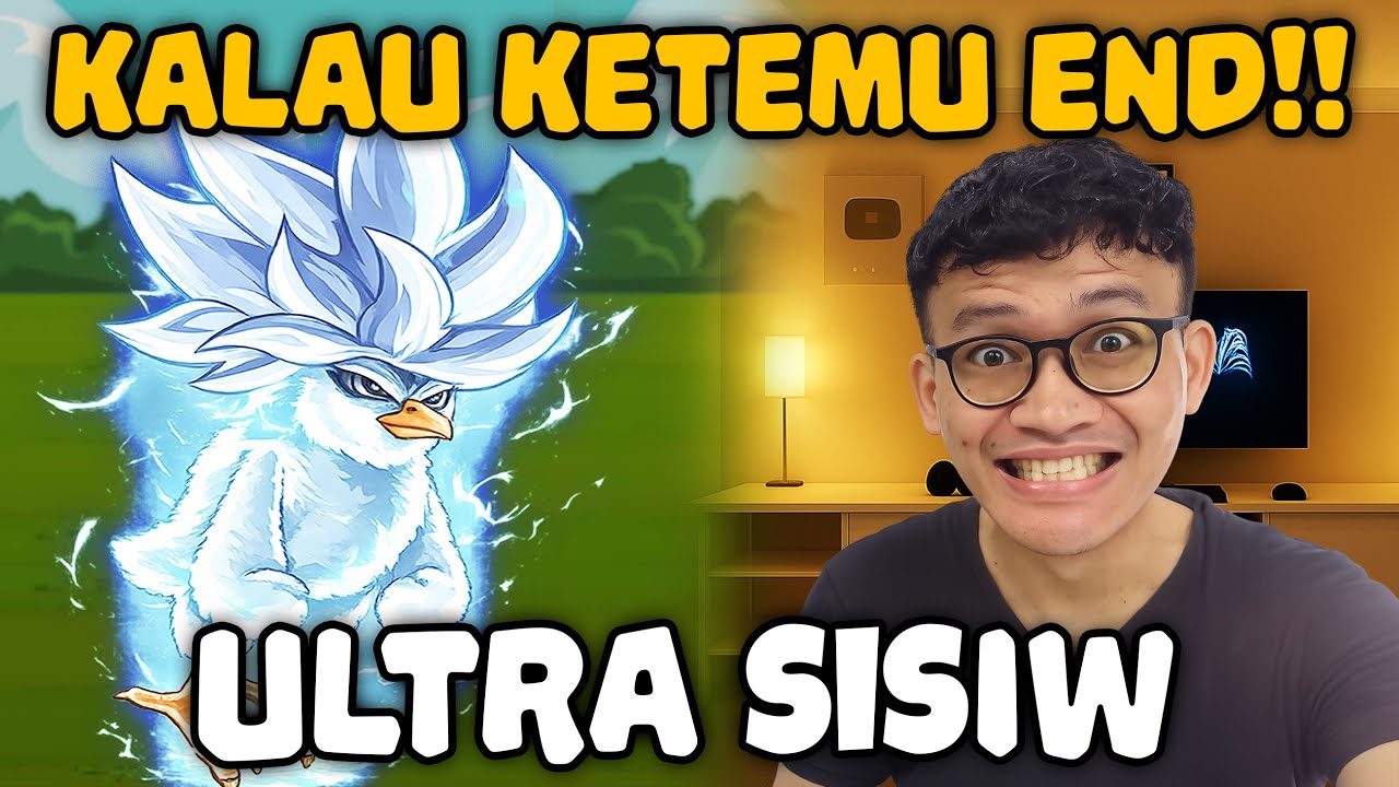 KETEMU AYAM ULTRA SISIW LIVE END! - MANOK NA PULA