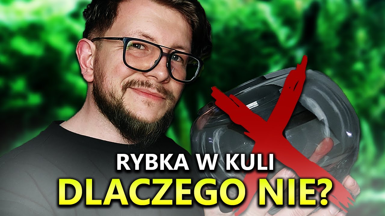Rybka w KULI? Dlaczego NIE?