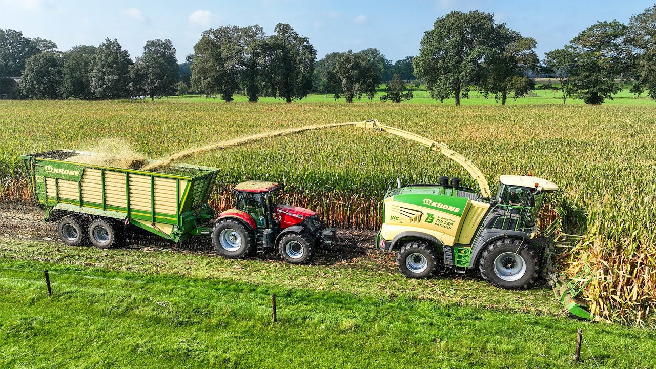 Mais 2023 - Krone BiG X 680 | 2x Case Puma 200 + Krone | Tuller - Bathmen