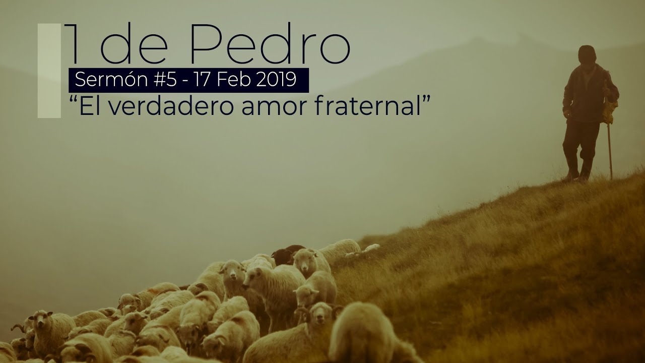 1 de Pedro - El Verdadero Amor Fraternal