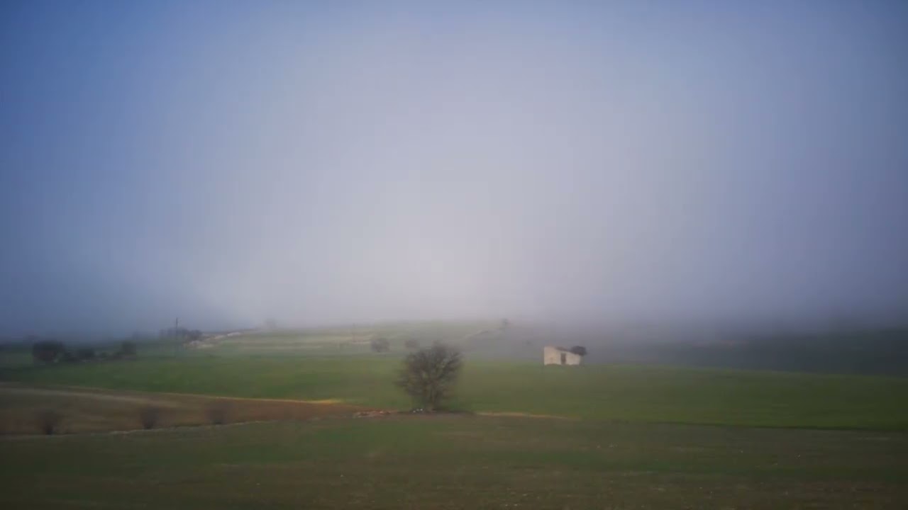Passejant pels sembrats