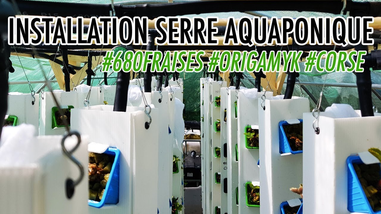 Serre en aquaponie à Santa Giulia (680 fraisiers / 23m2)