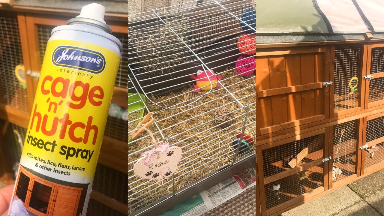 BIG Spring Clean For The Bunny Hutches VLOG | RosieBunneh