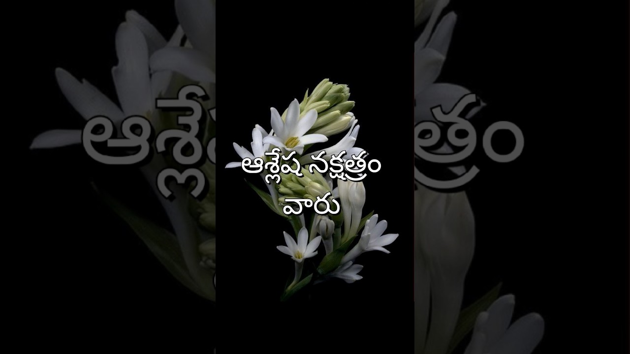 Aslesha nakshatra remedies to get luck 