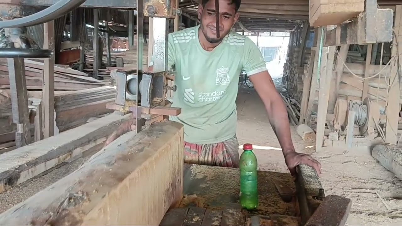 Eucalyptus wood | ইউকলেকটার গাছ কাটা হচ্ছে। #woodworking #wood #woodwork #unfrez 
