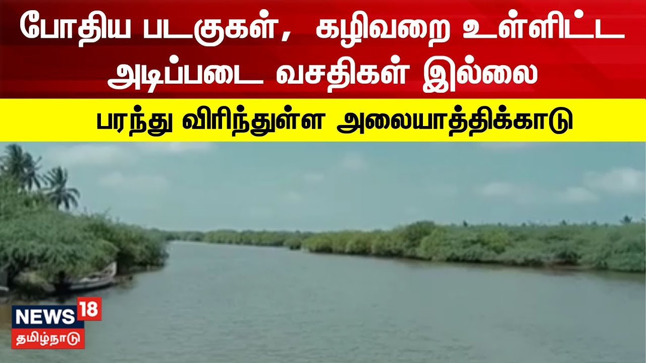 Muthupettai Mangrove Forest | அலையாத்திக்காட்டை படகில் சென்று ரசிக்கும் சுற்றுலா பயணிகள்