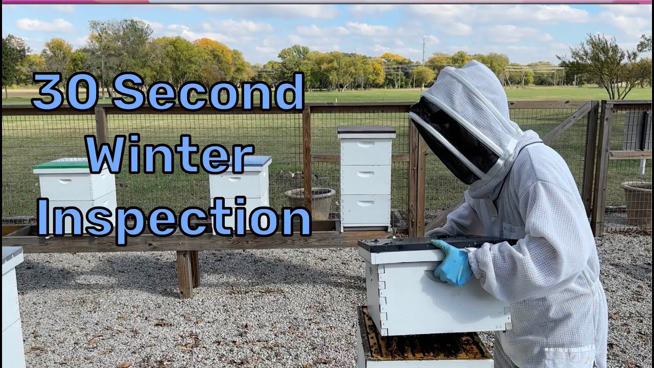 Beekeeping: How to Do a 30 Second Late Fall / Winter Hive Inspection