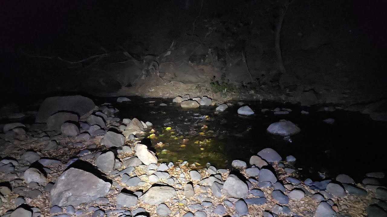 En este Alejado y Extraño lugar el Agua parece tener Voz