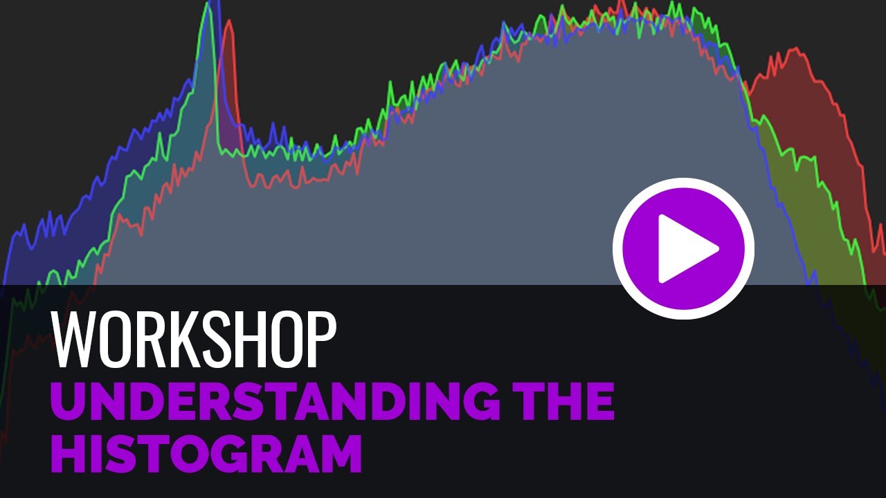 Understanding the Histogram