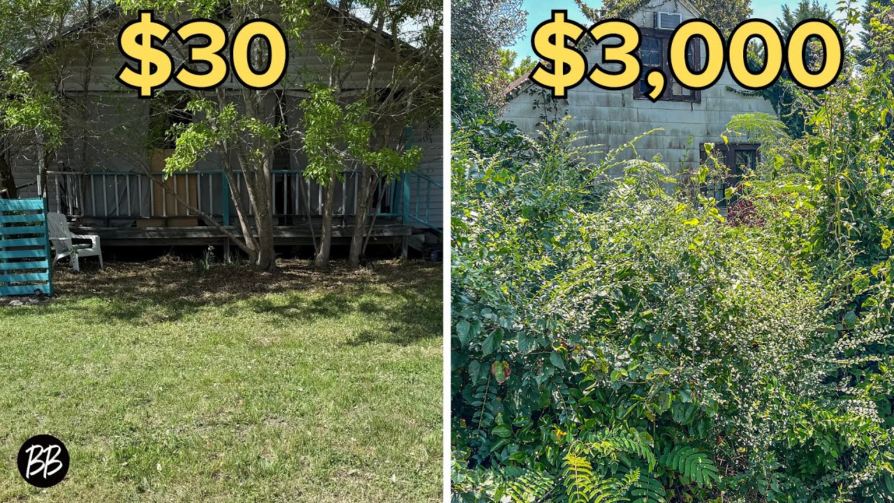 $30 vs $3,000 Yard Transformation