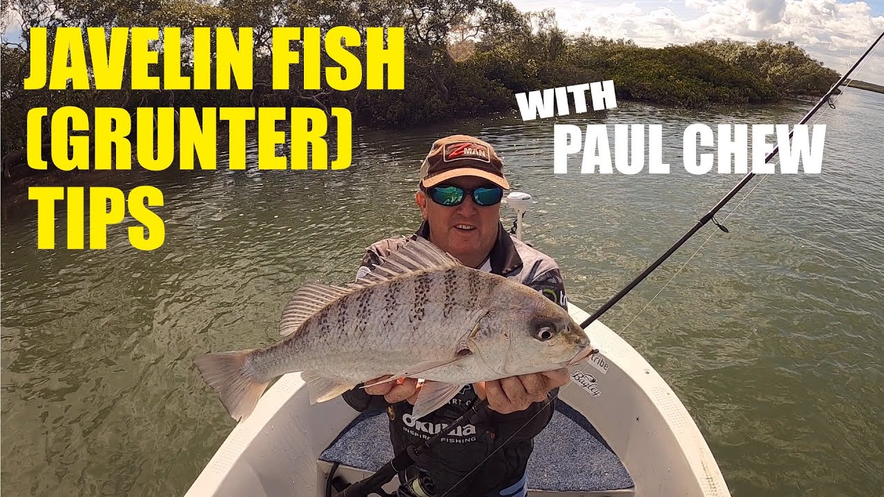 How to Catch Javelin Fish / Grunter on Soft Plastics with Paul Chew