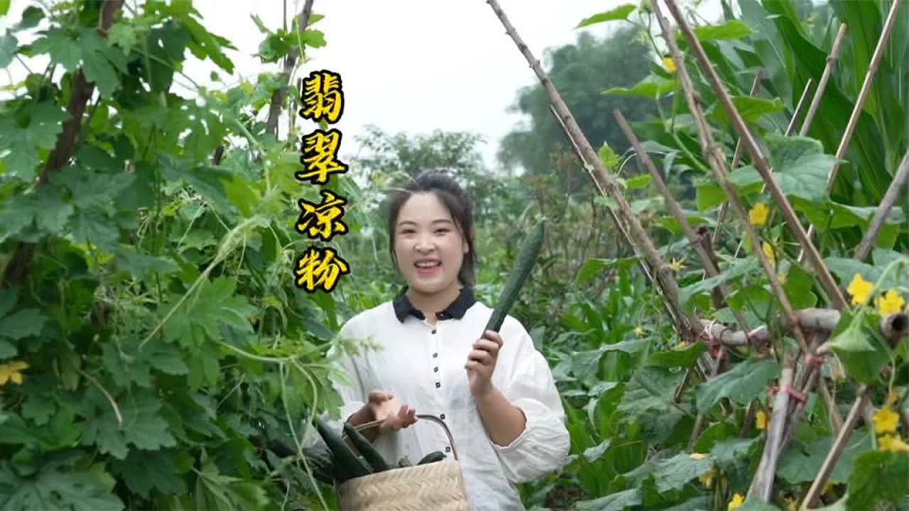 菜园里摘几根黄瓜，小向今天做翡翠凉粉吃，大热天来一盘真过瘾！