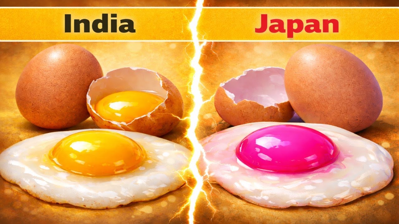 Different Types Of Egg York 🥚