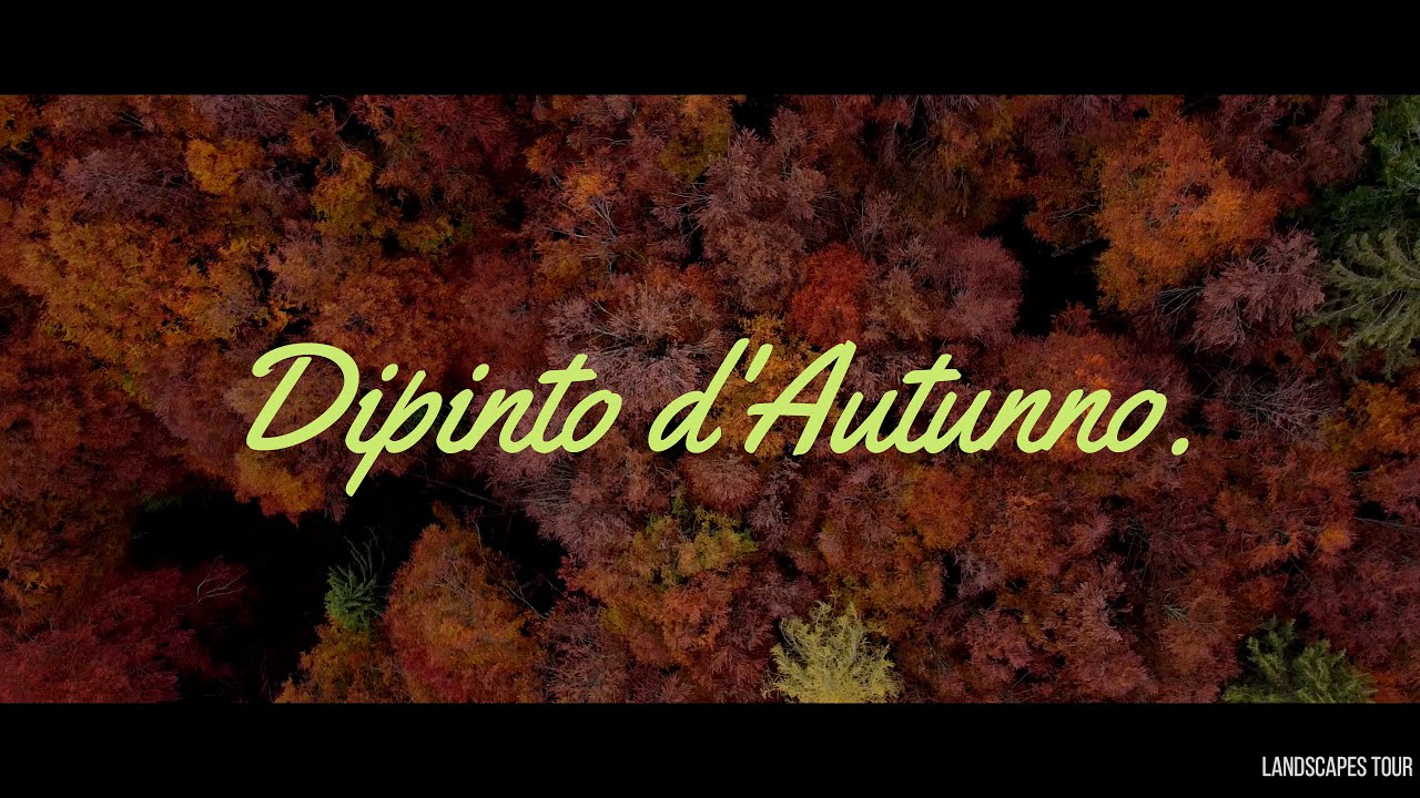 Short Film: Foliage nel Bosco del Cansiglio 4K