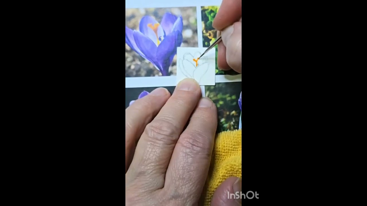 Aquarell Krokusblüte - Aufzeichnung des livestreams vom 01.02.2026 