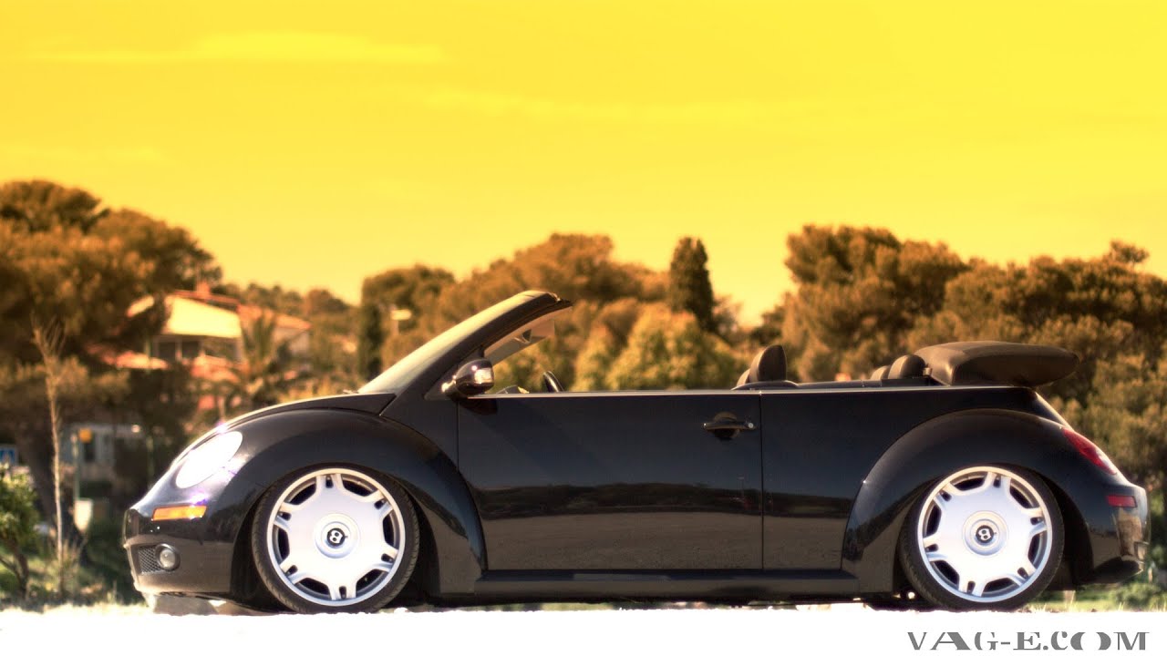 Beetle on Bentley