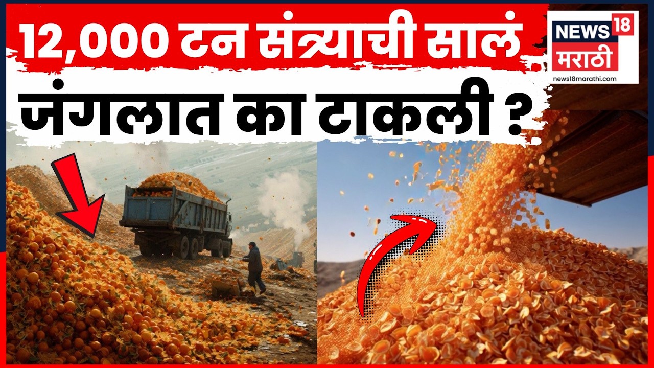 Orange Peel Dump In Forest | संत्र्याच्या सालींचा चमत्कार ! 16 वर्षांनंतर का घडलं ? | N18G