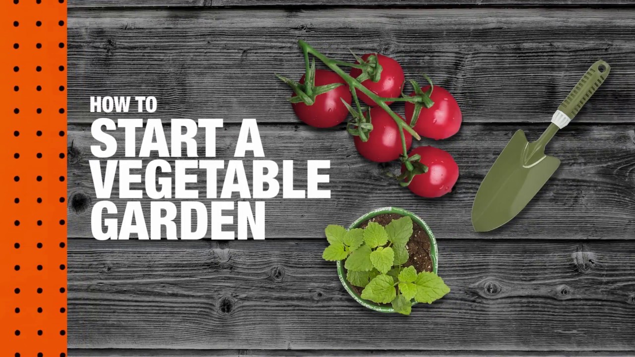 How to Start a Vegetable Garden | The Home Depot