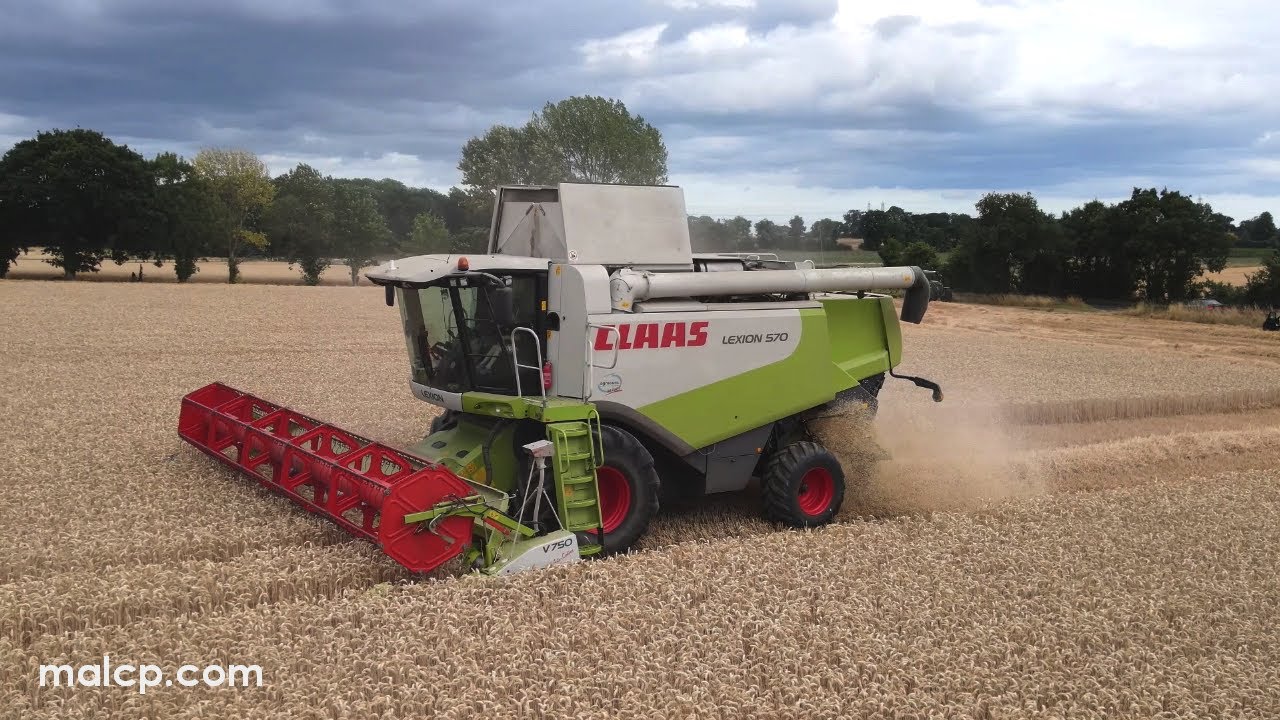 Harvest 2022: Claas Lexion 570 cutting wheat on an overcast day in Suffolk