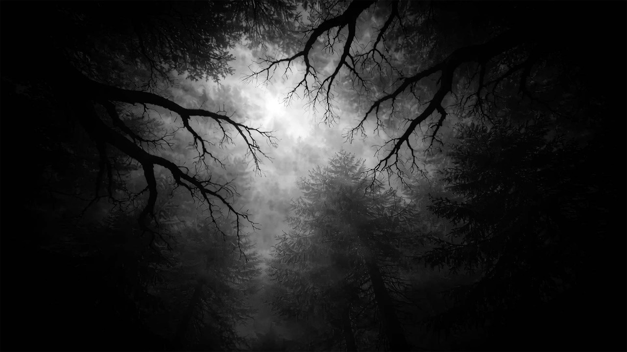 M&ouml;rkekraft &ndash; Follow the Spiders
