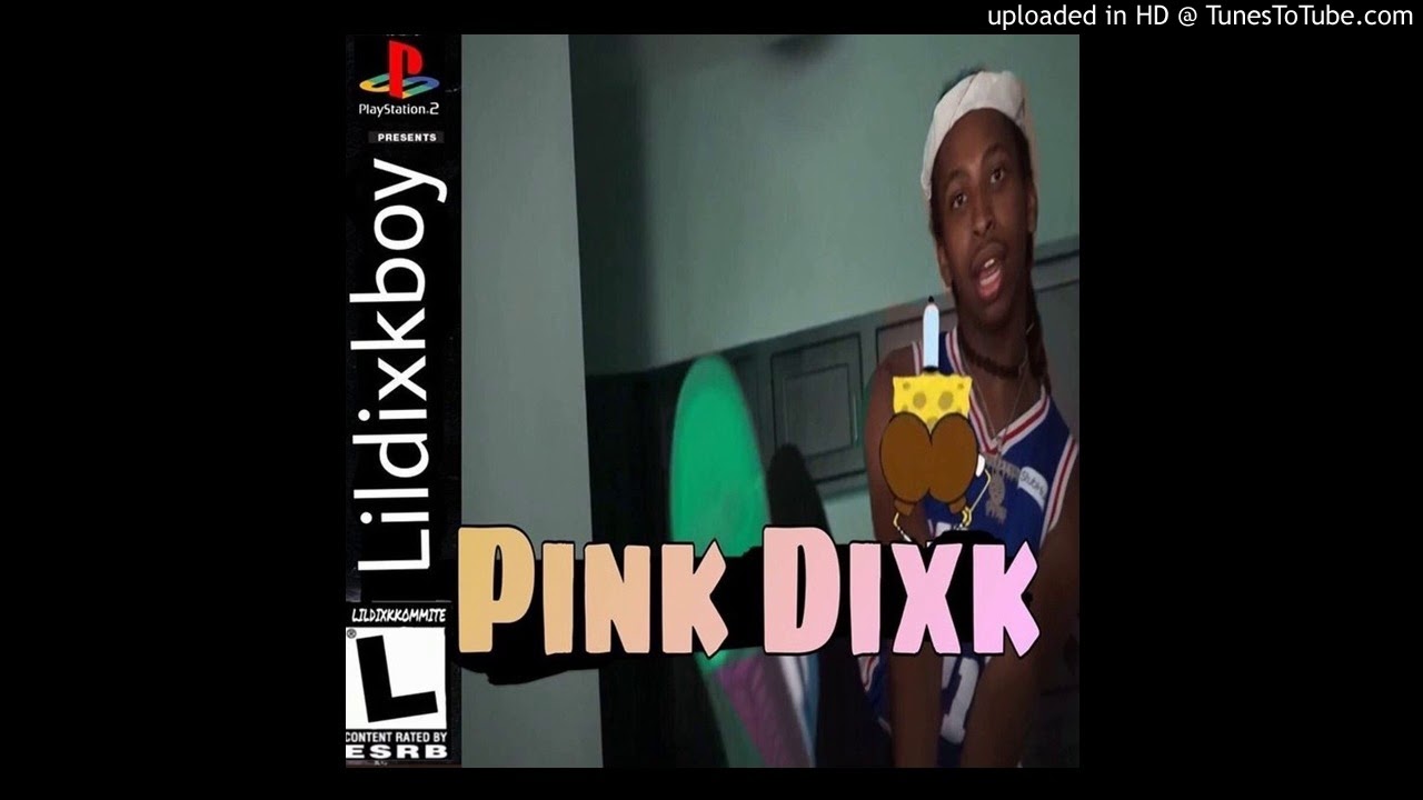 LILDIXKBOY - PINK DIXK (AUDIO) @LILDIXKBOY