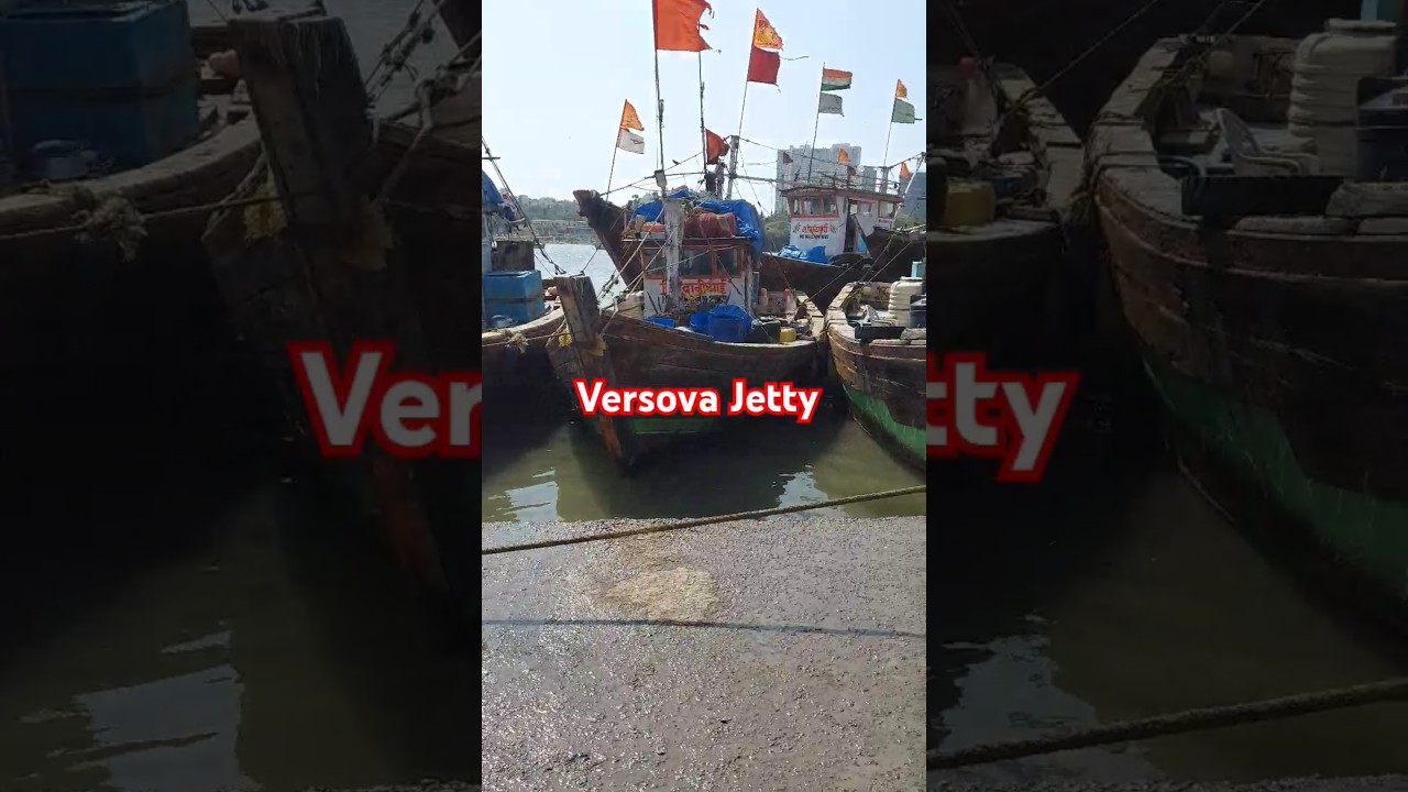 versova ⛱️  Jetty fish 🐟 market #shorts #versova #fishmarket #marine