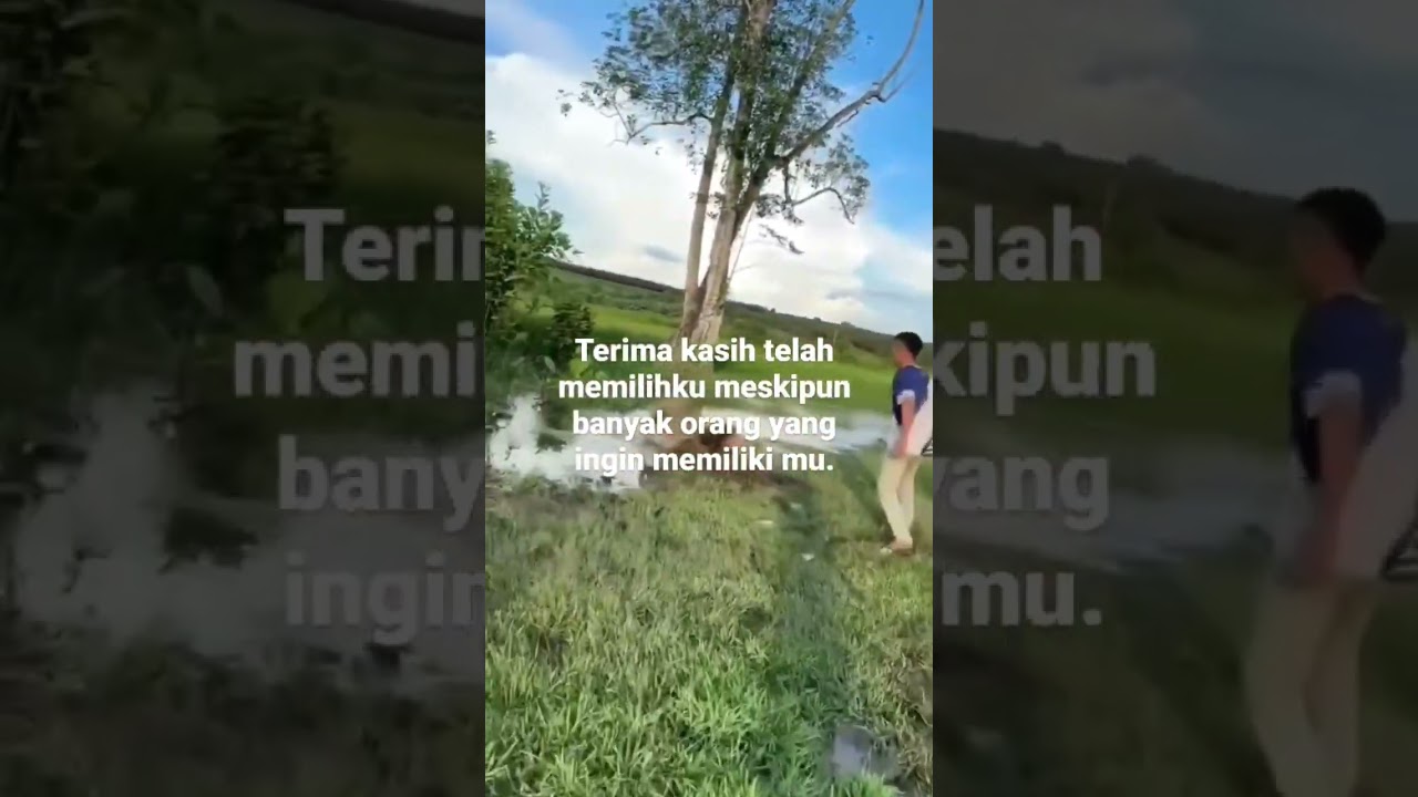 macacii ✨ #bajinganterhormat #baperbanget #baperbermoral #alunankata #katakatabaper #bucinstory