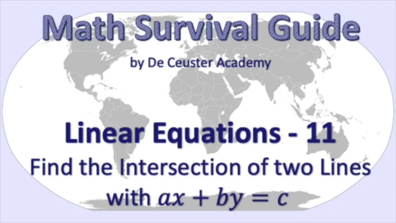 Math Survival Guide - Linear Equations 11