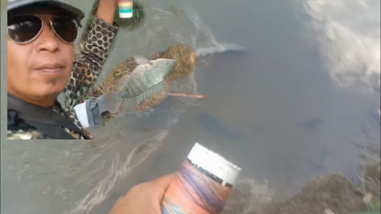 paser mania memaser ikan nila spot sungai
