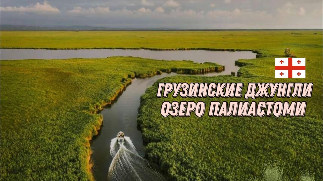 Грузинские джунгли. Озеро Палиастоми . Колхидский национальный парк. Поти. Georgia.