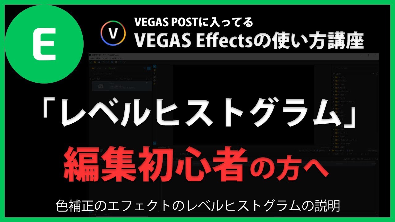 VEGAS Effectsの使い方「レベルヒストグラム」#99