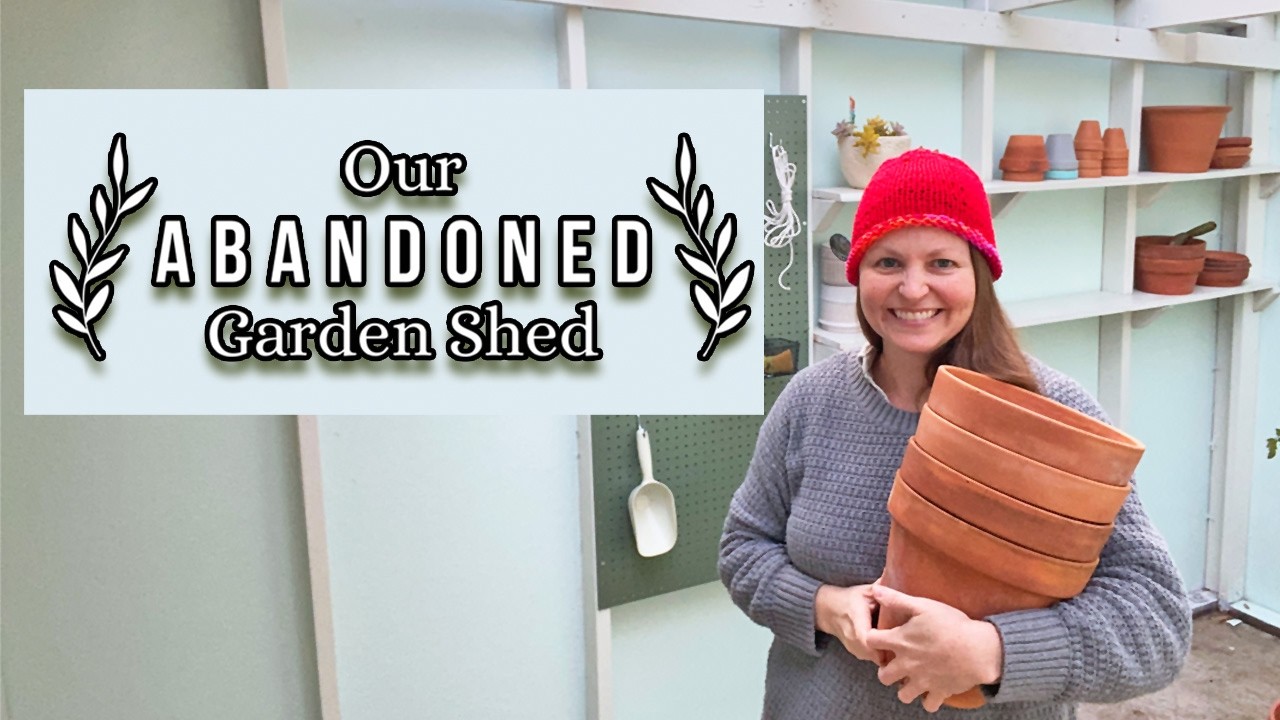 This project saved our garden (Ep 3)
