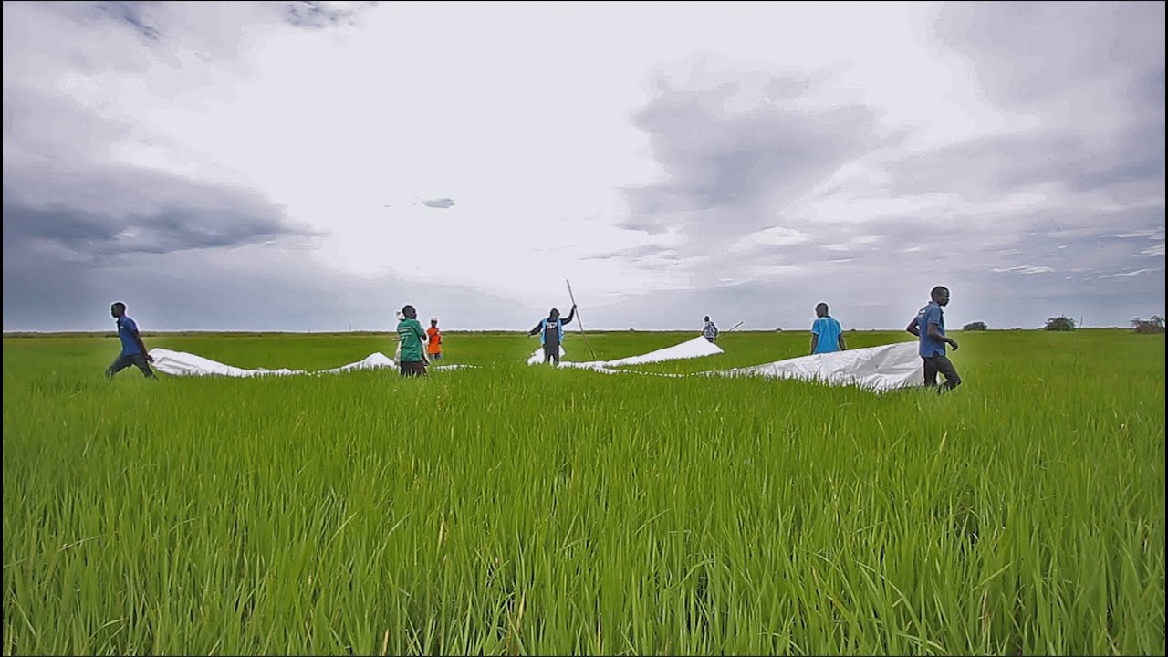 World Vision's Rapid Response in South Sudan's Most Difficult Communities - The Drop Zone