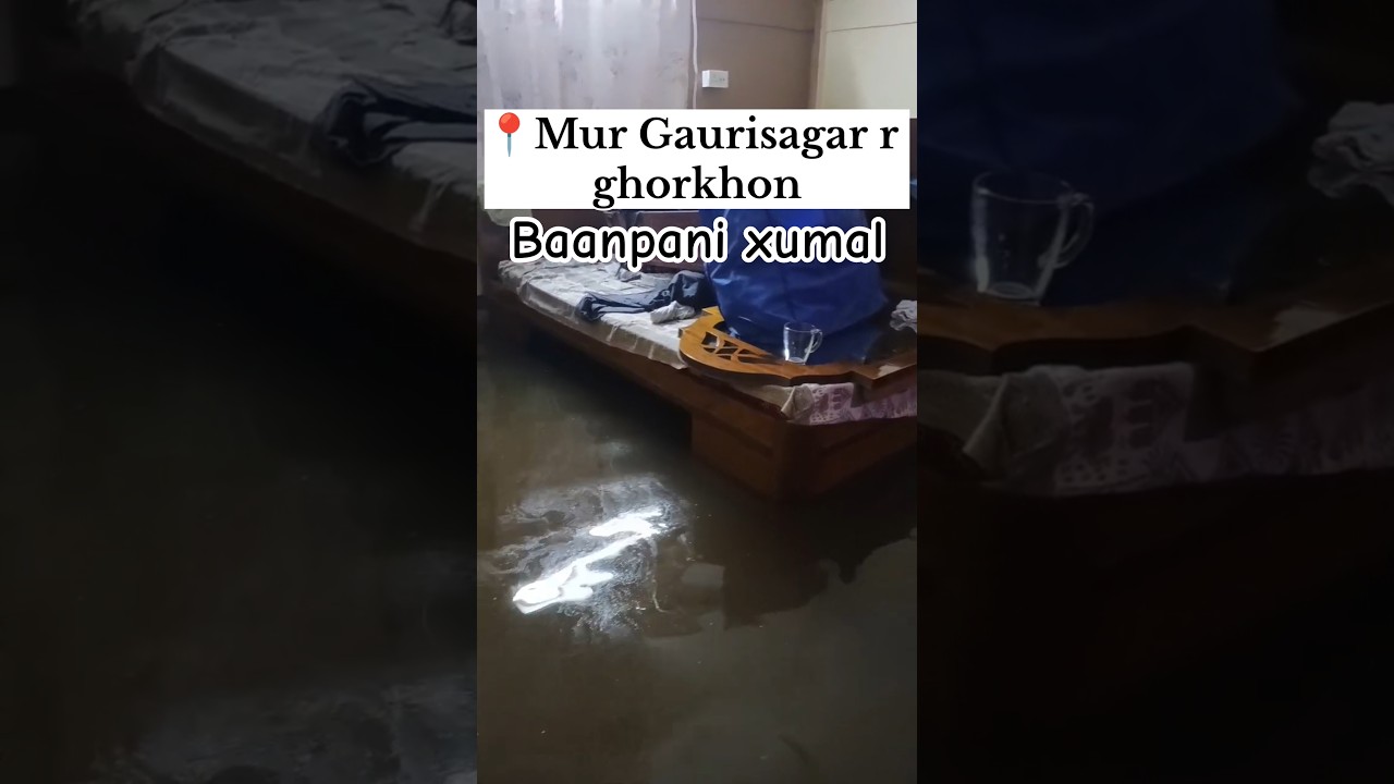 Ghorot Baanpani xumai bohut durobostha || Sivasagar flood ||  #ytshorts #flood #assam #sivasagar #🙏