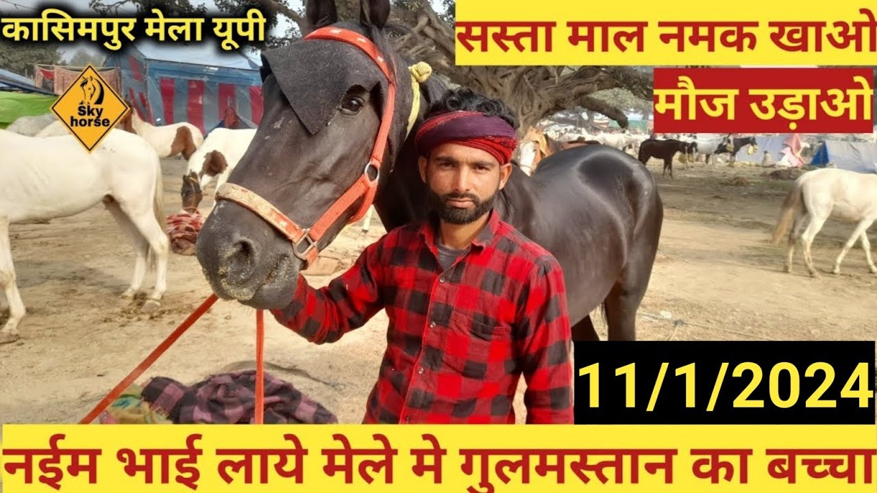 नईम भाई लाये मेले मे गुलमस्तान का बच्चा कासिमपुर मेला बदायूँ