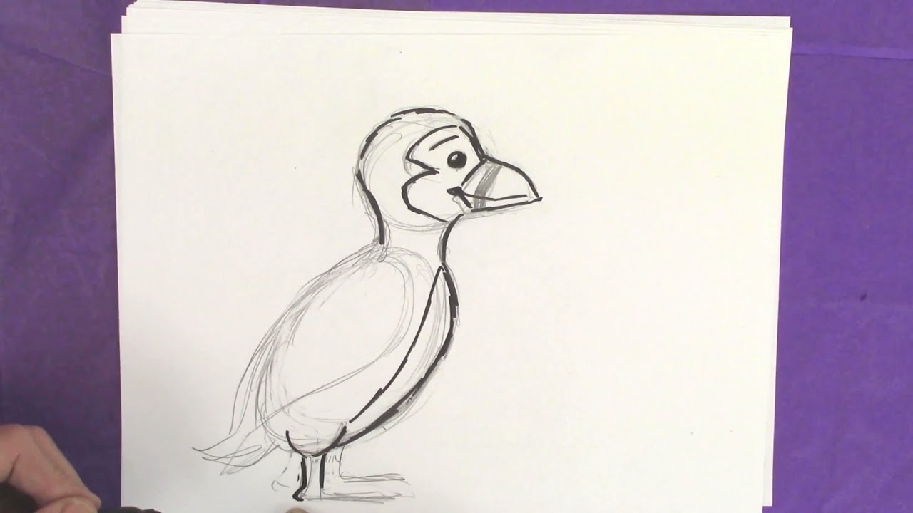 How to Draw a Puffin with Christopher Hart