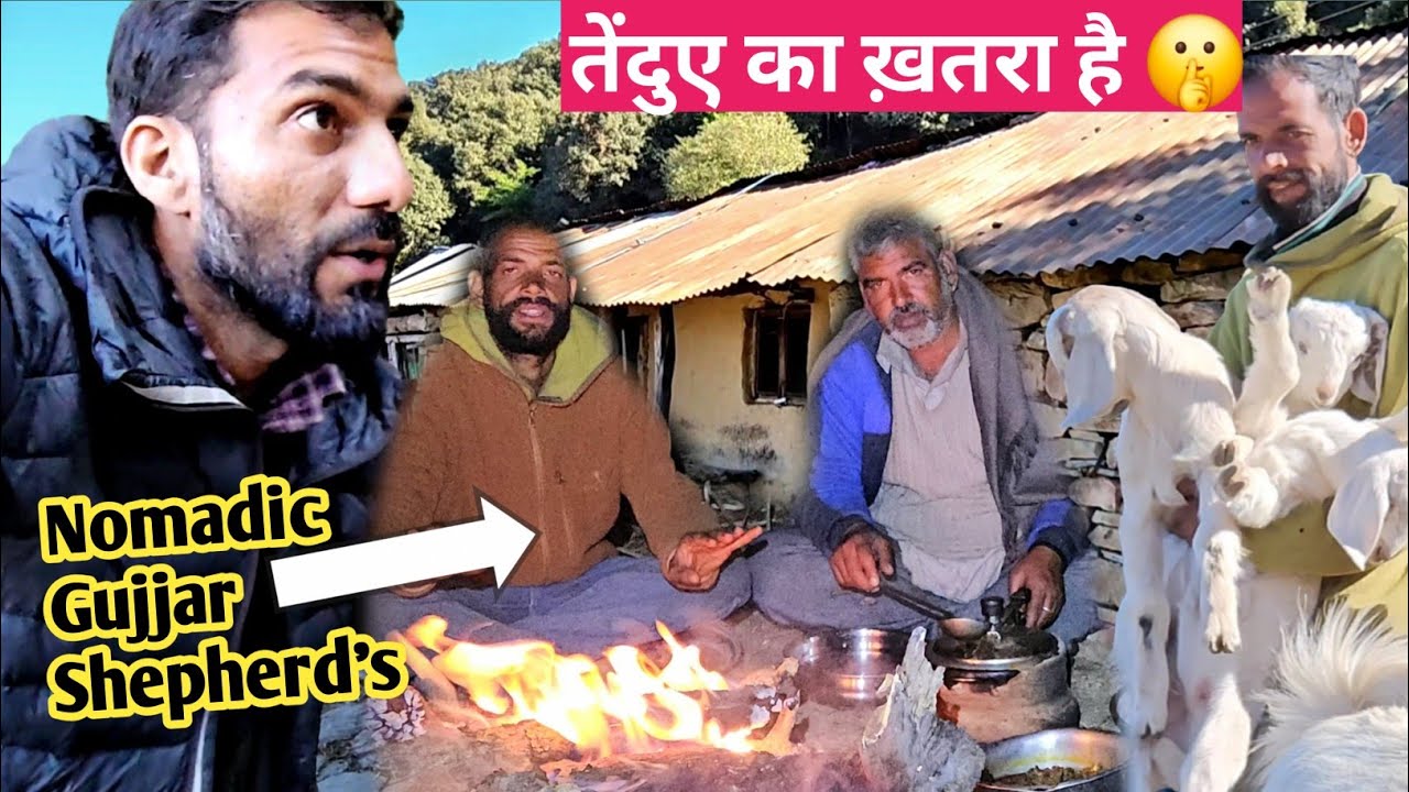 इतनी डरावनी जगह से पानी ले जाते हैं Nomadic Shepherd's लोग. Camping with Nomadic Gujjar Shepherd's 