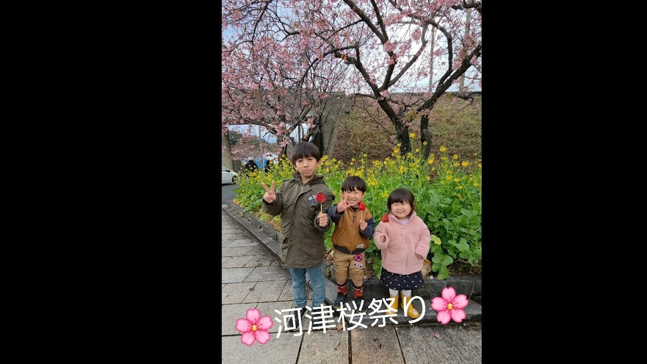 2/11河津桜祭りに行ってきました〜🌸