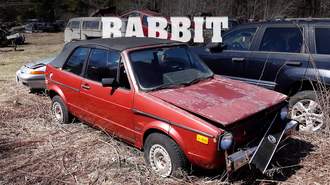 Drop Top Rabbit