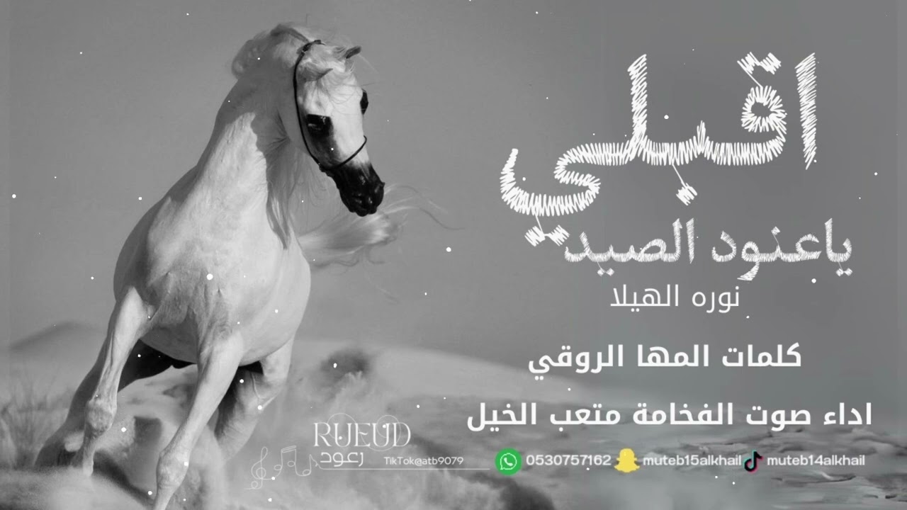 شيلة اقبلي ياعنود الصيد آداء صوت الفخامه متعب الخيل جديد2024حصرياً